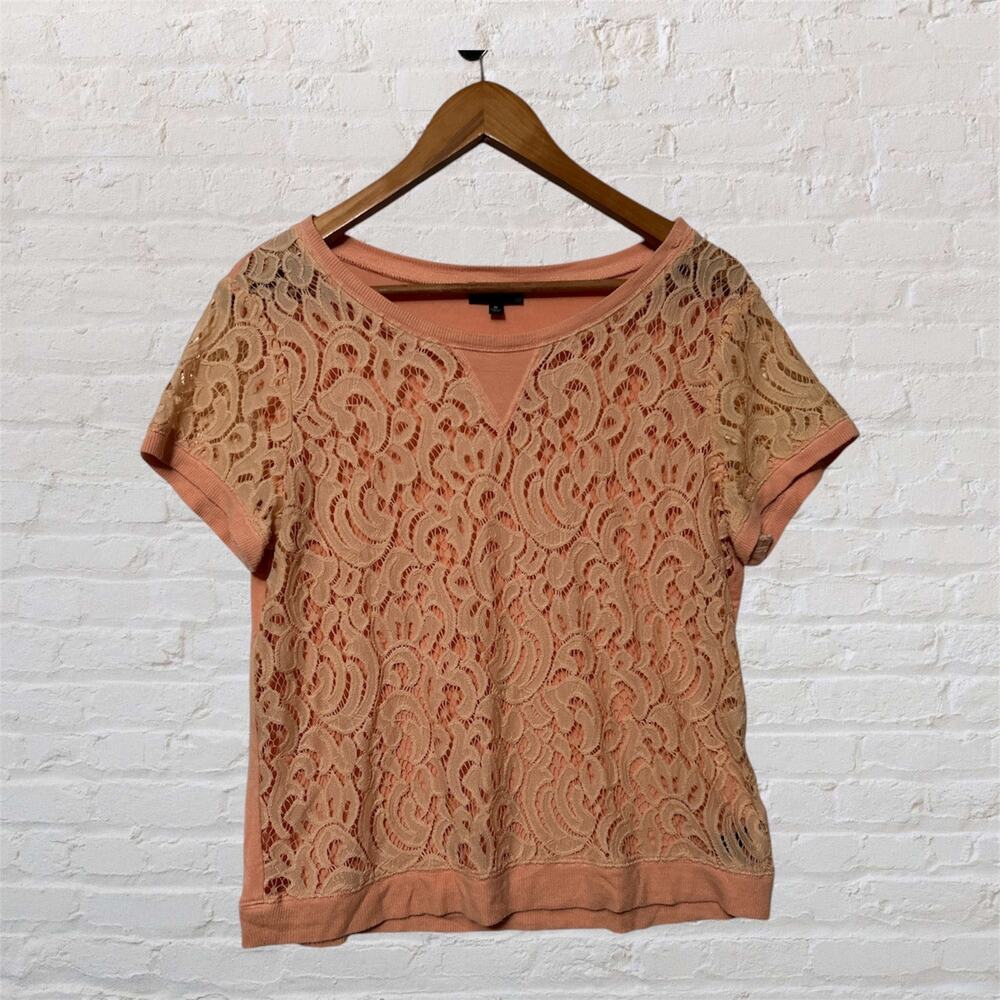 The Limited Medium Peach Lace Overlay Short Sleeve Top‎ Blush Pullover Blouse